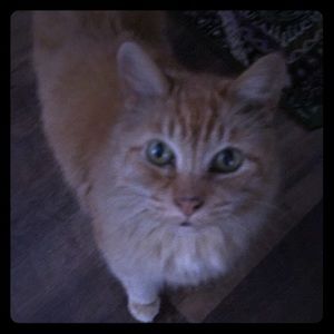 @clasmajo 👯‍♀️👯‍♀️closet